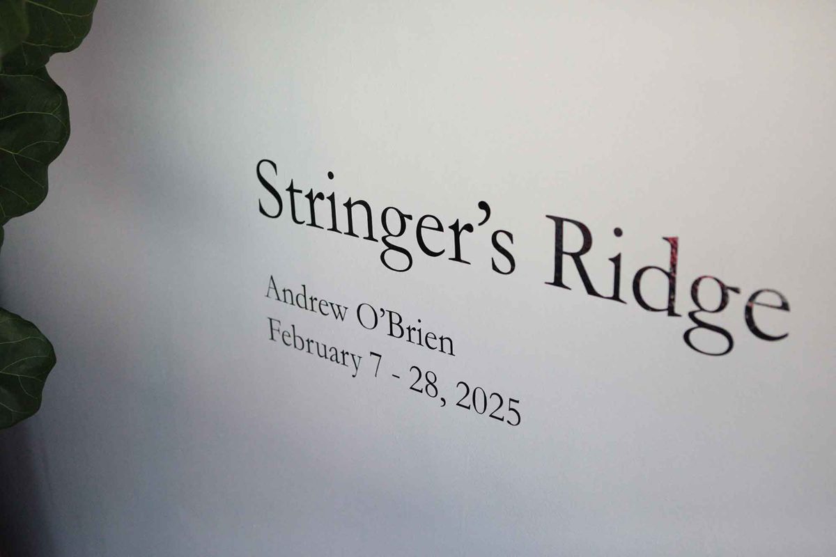 Andrew O'Brien. Stringer's Ridge.