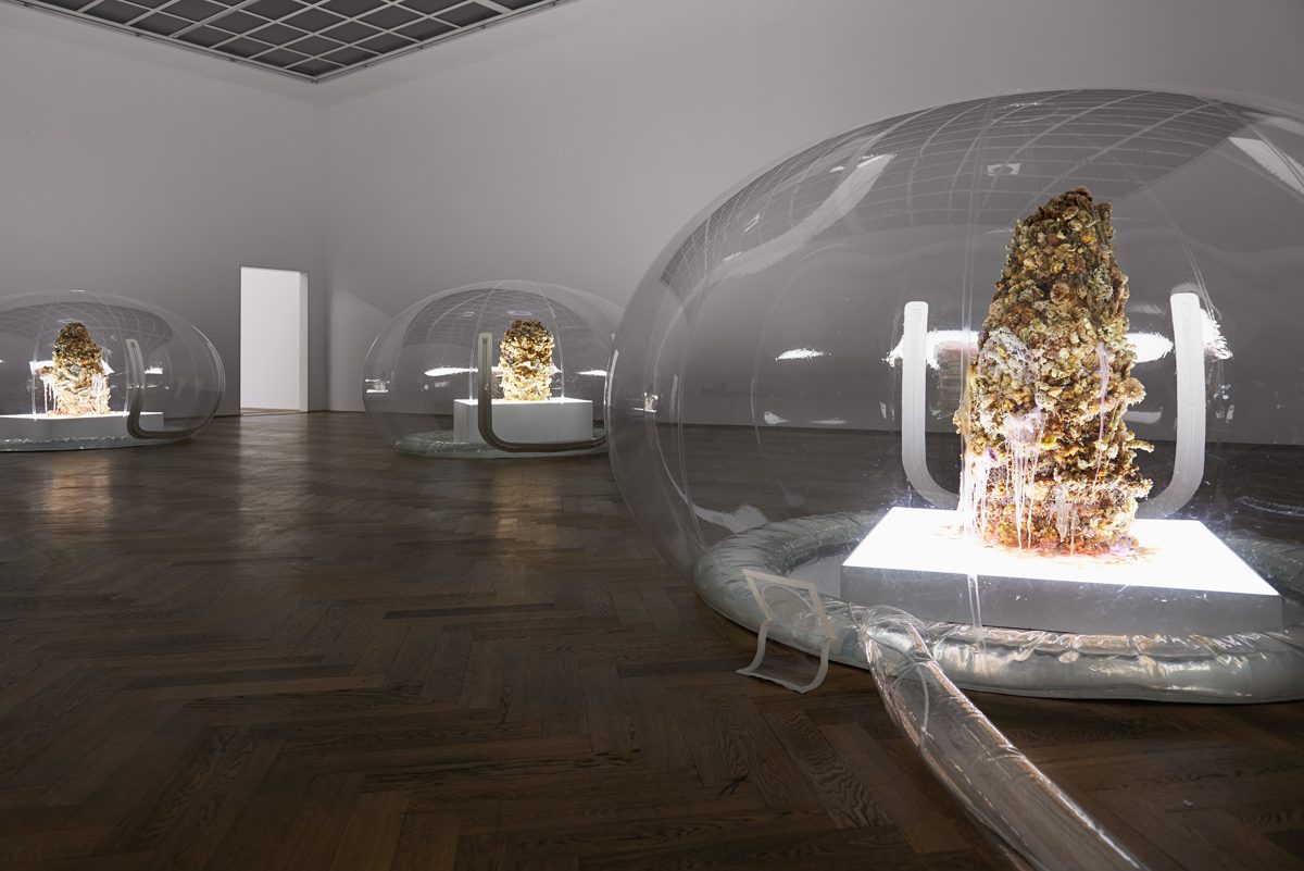Anicka Yi. 7,070,430K of Digital Spit.