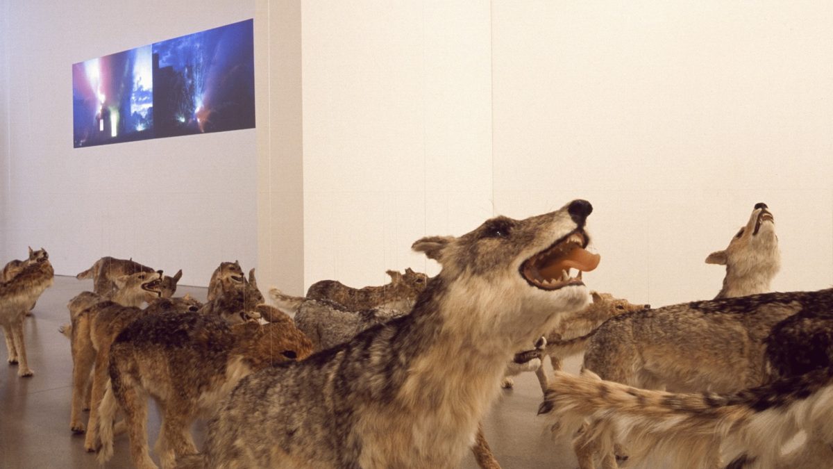 Cai Guo-Qiang. Head On.