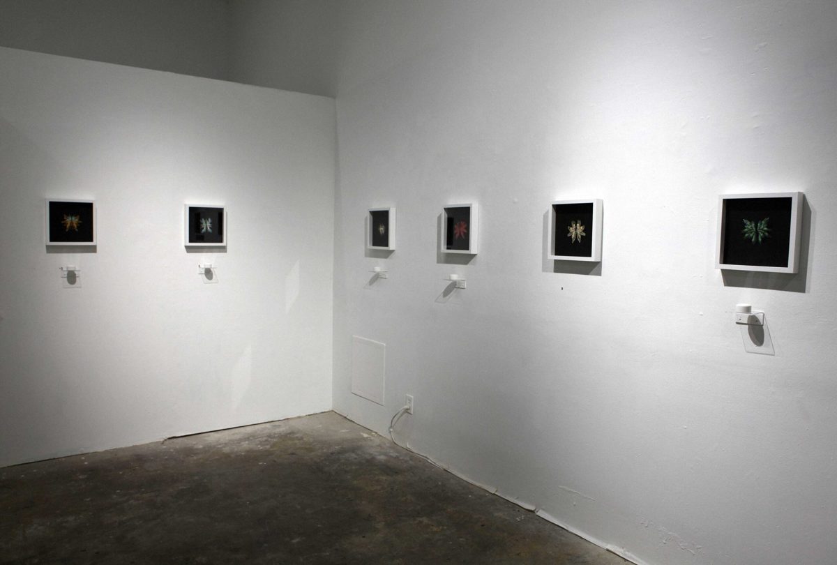 Cristian Marianciuc. Olfactory Peregrinations.
