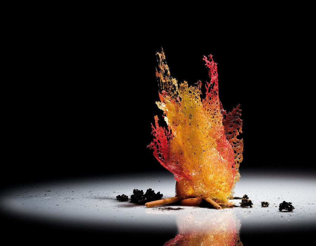 Ferran Adrià. elBulli, Pavilion G tại documenta 12.