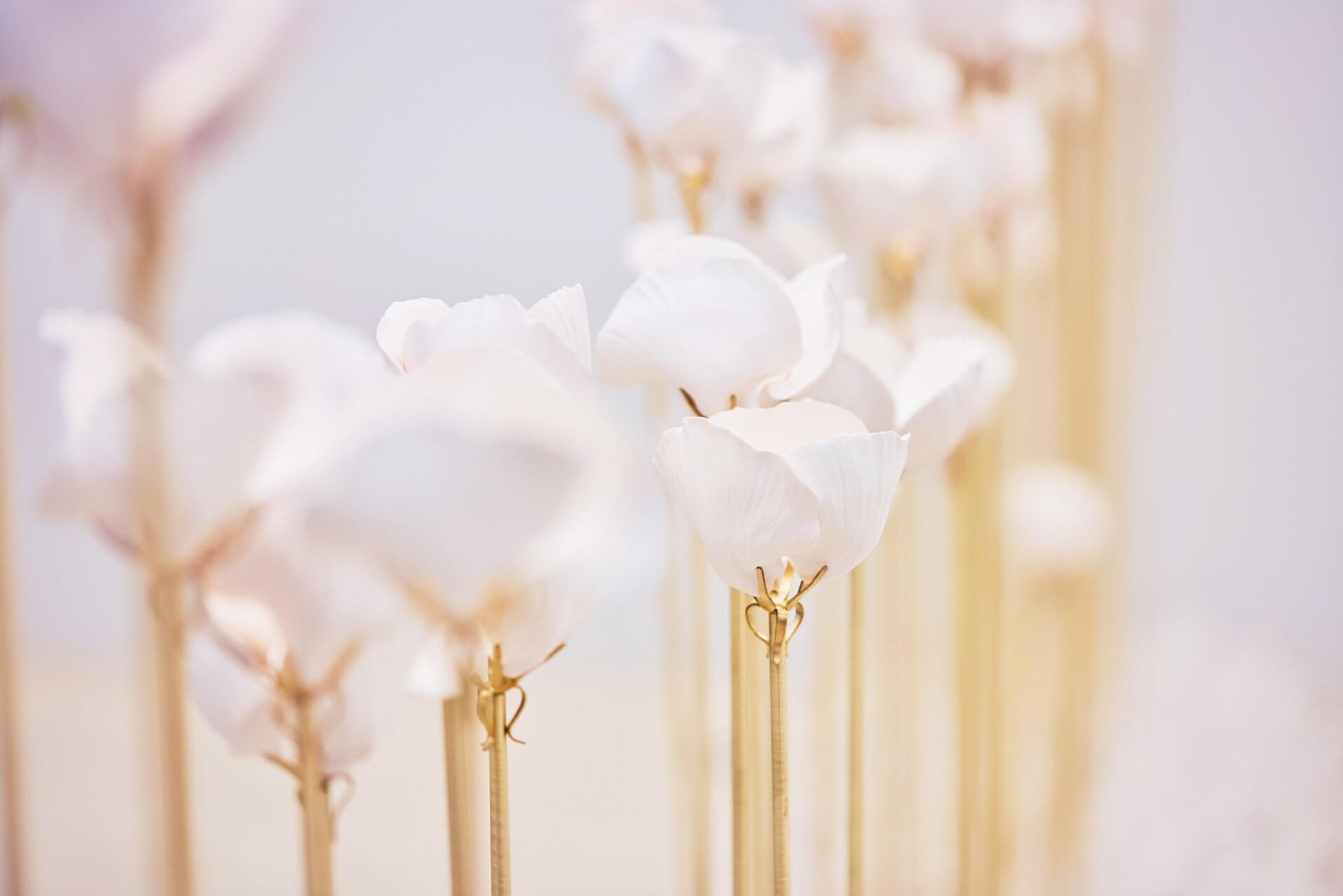 フランシス・クルジャン「Parfum, sculpture de l'invisible」。パリ、パレ・ド・トーキョーでの香りのインスタレーション