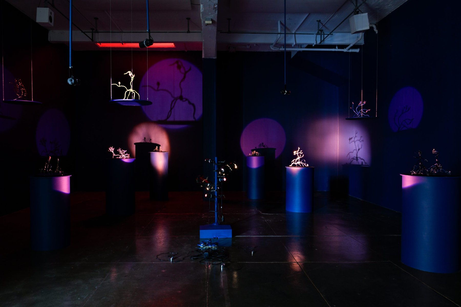 Goldie Poblador, The Rise of Medusa: điêu khắc thủy tinh hình sứa và san hô treo trong phòng sơn xanh sẫm tại Artpace
