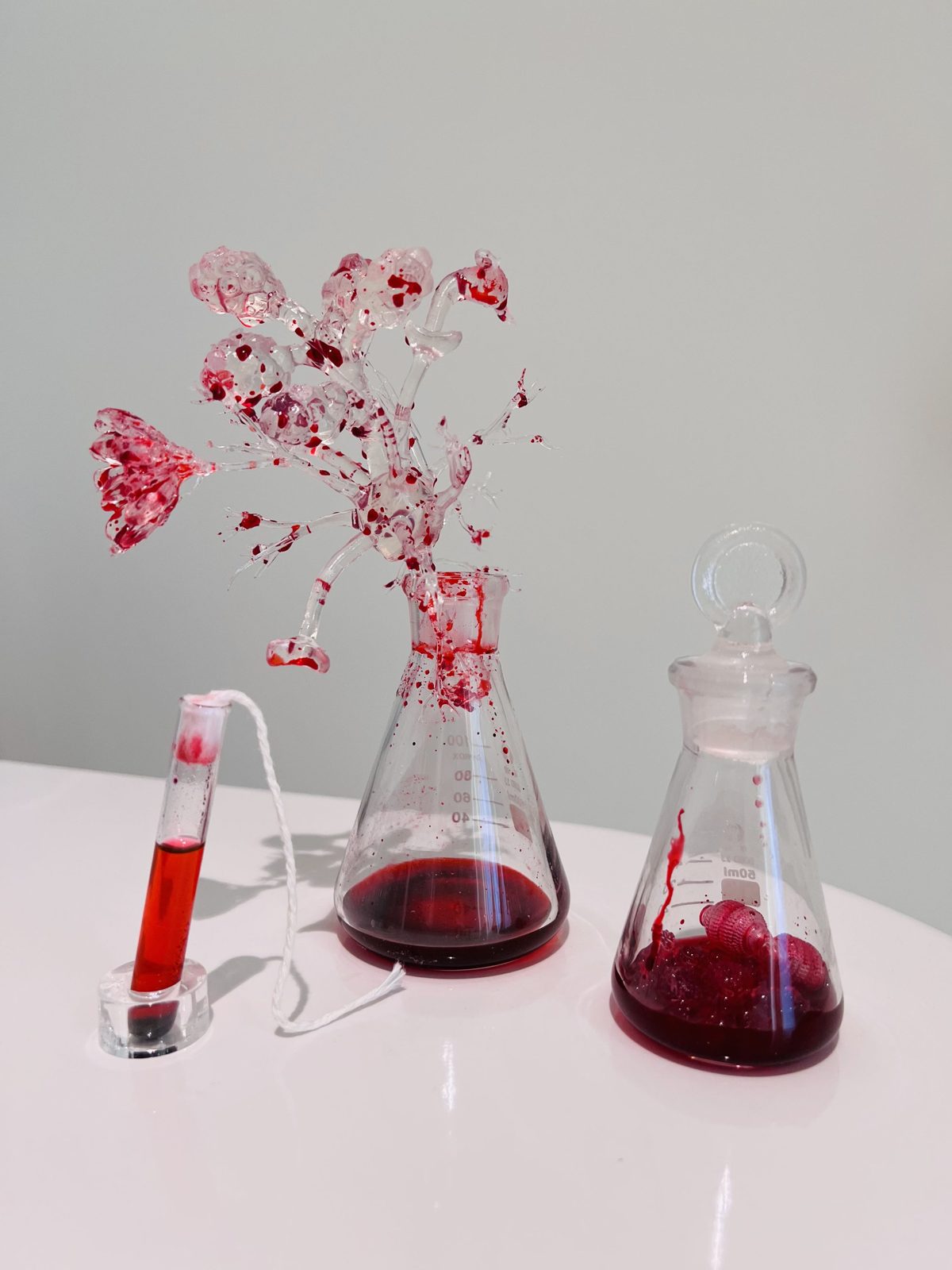 Jiabao Li. Menstrual Garden.