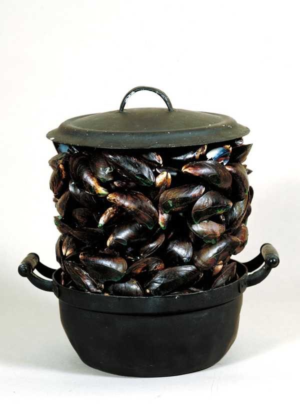 Marcel Broodthaers. Casserole and Closed Mussels.