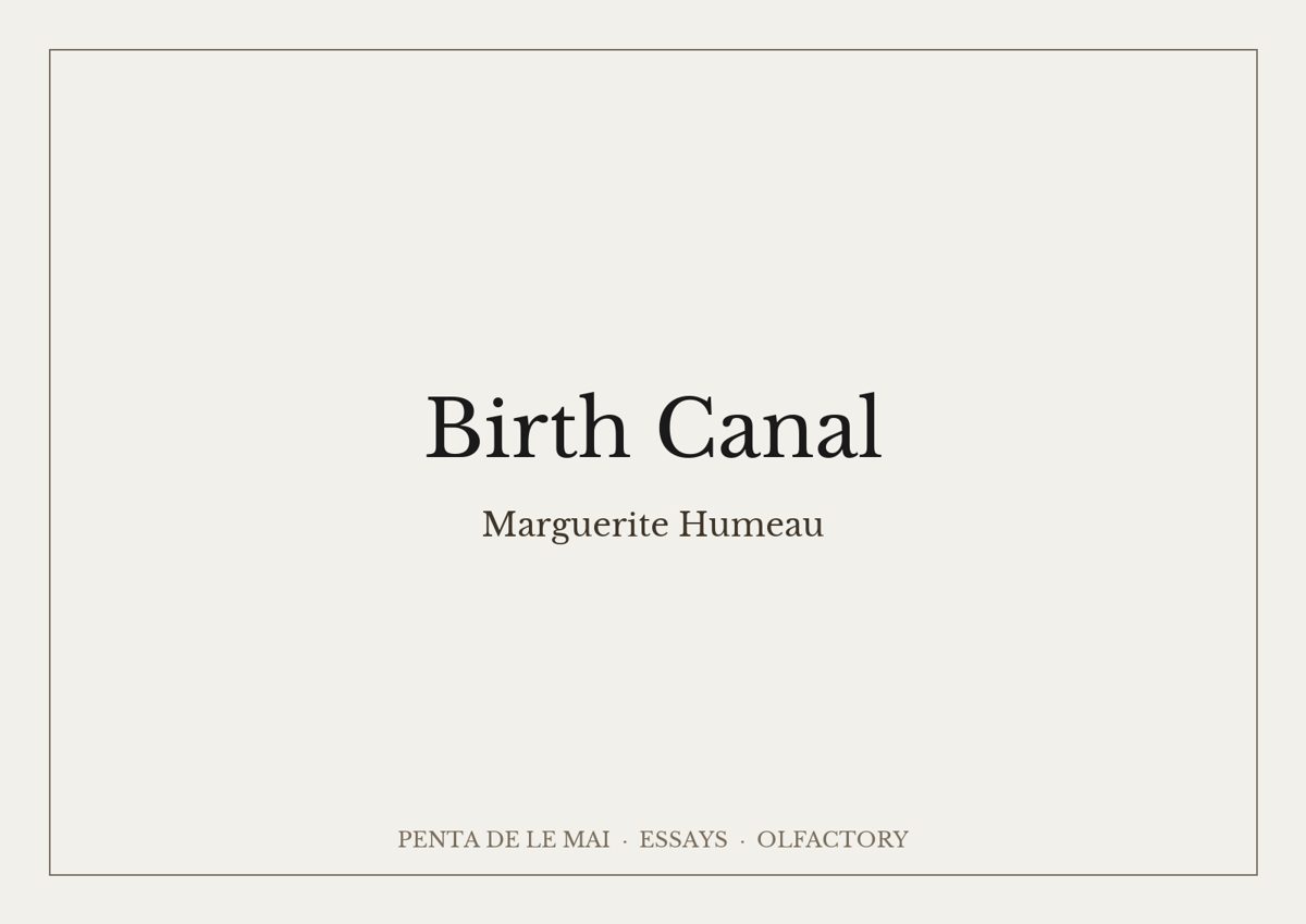Marguerite Humeau. Birth Canal (Venus body odour), The scent of the birth of humankind.