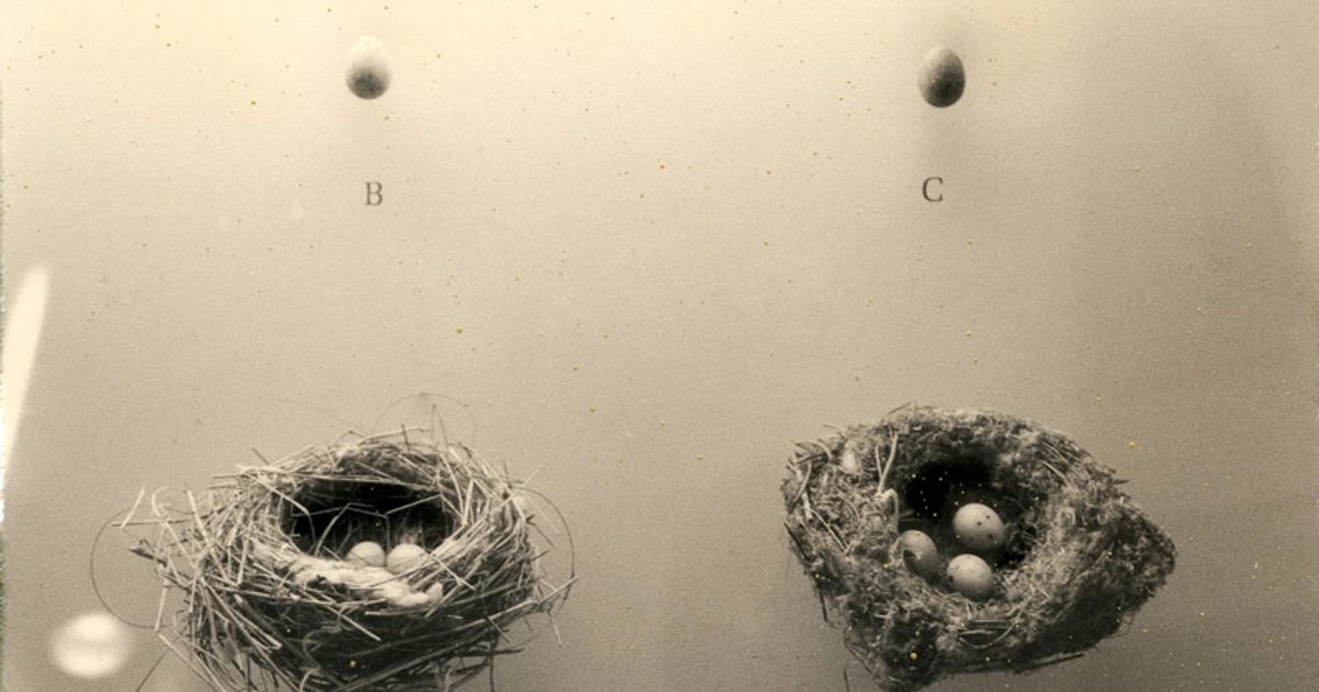 Masao Yamamoto. A Box of Ku.