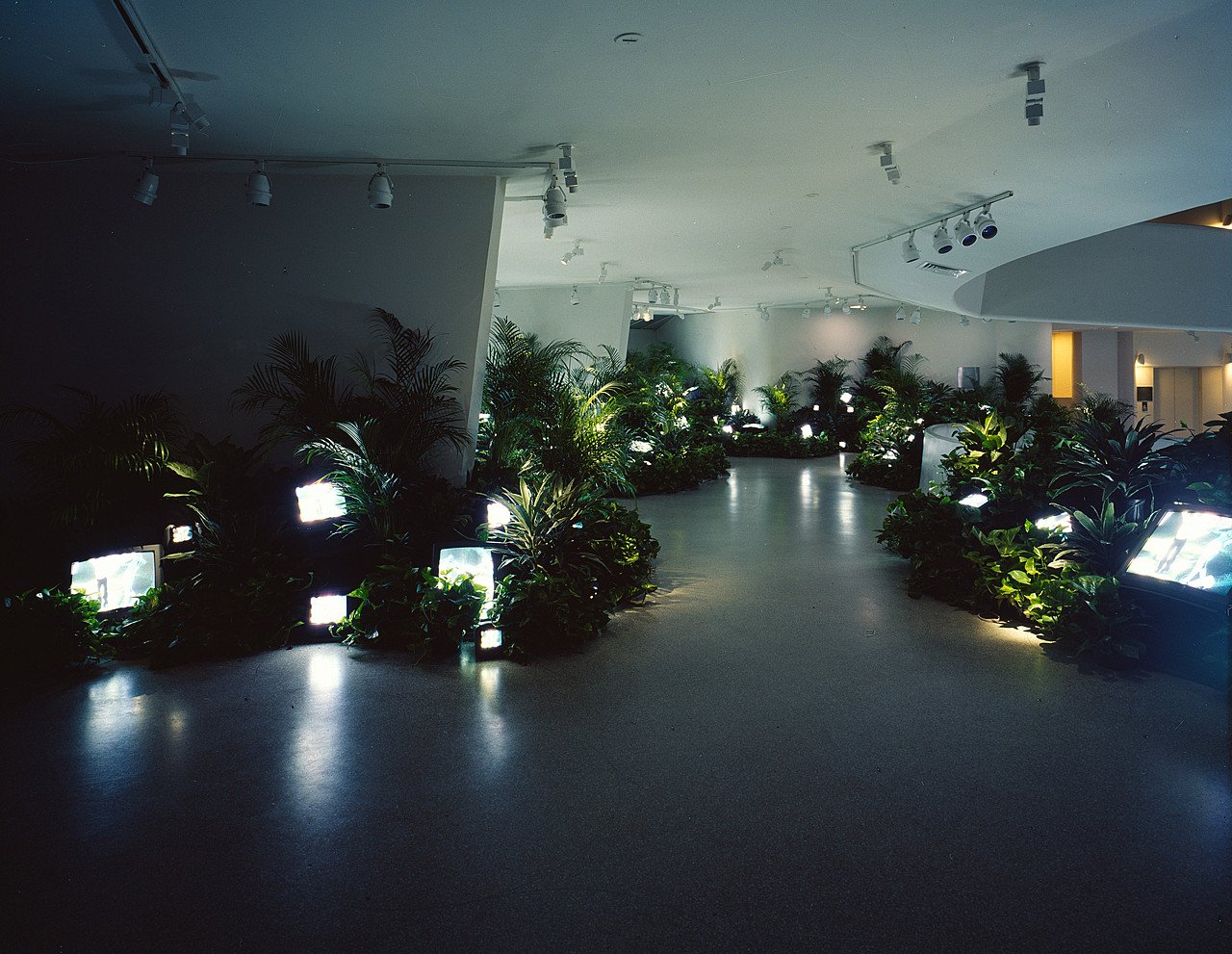 ナム・ジュン・パイク「TV Garden」。生きた緑の植物のあいだに置かれた大小さまざまなテレビモニター