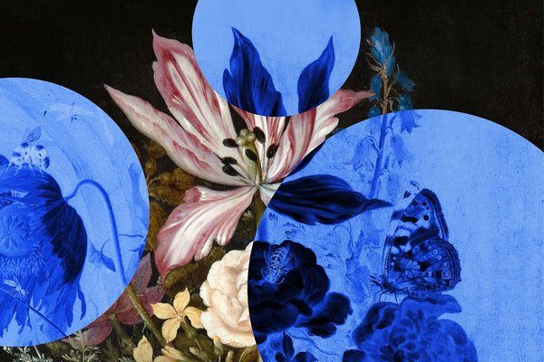 Perfume: A Sensory Journey Through Contemporary Scent.