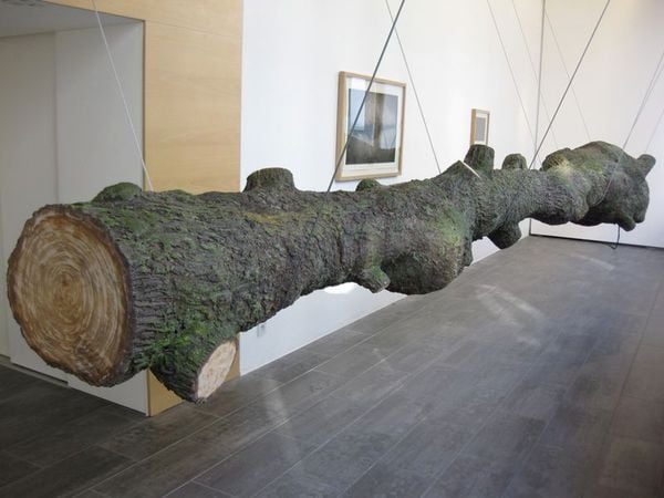 ピーター・デ・クペール「The Olfactory Tree」（2004）