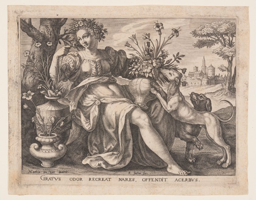 Raphael Sadeler I theo Maarten de Vos. Smell.