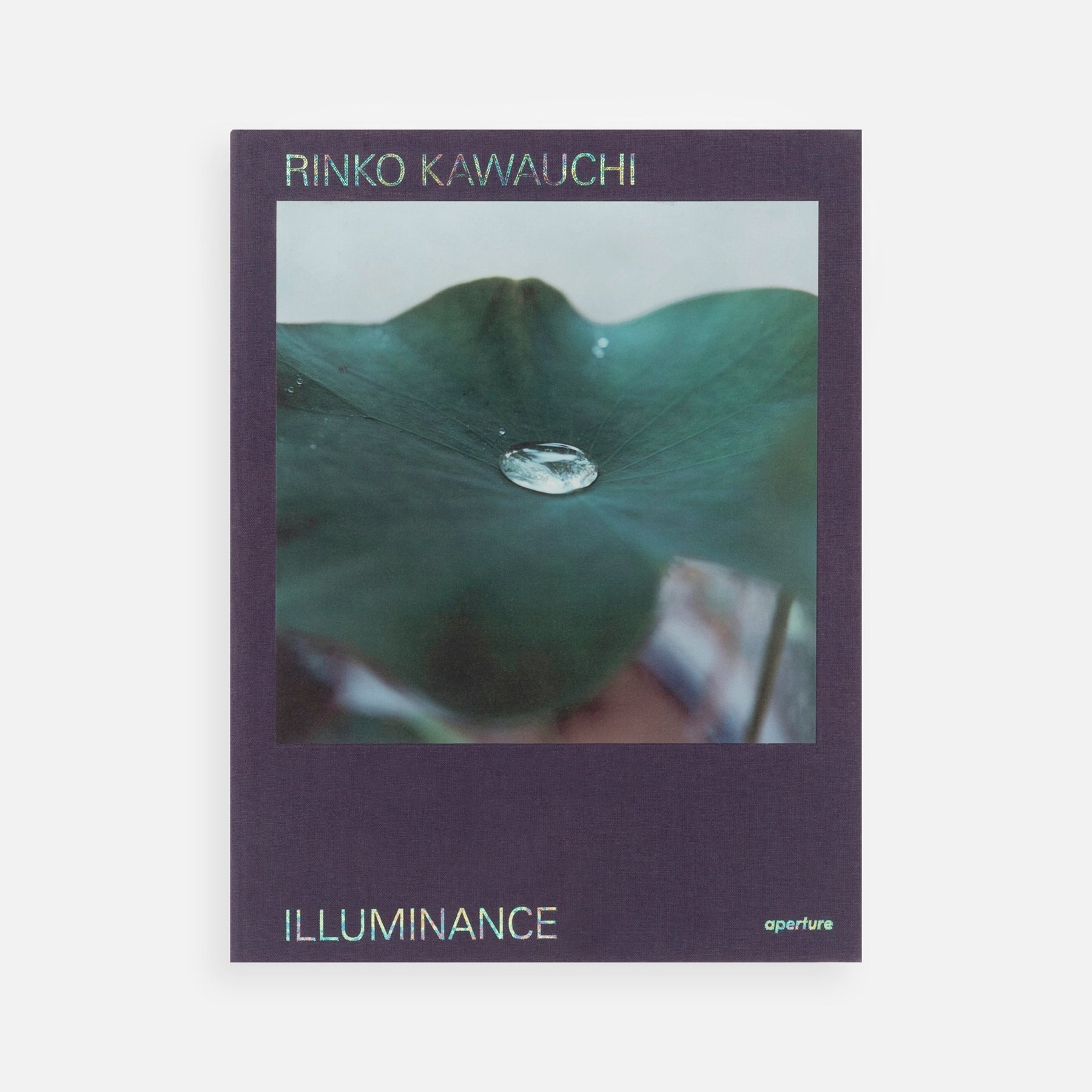 Rinko Kawauchi, Illuminance: bìa cuốn sách ảnh, một khoảnh khắc đời thường trong ánh sáng dịu