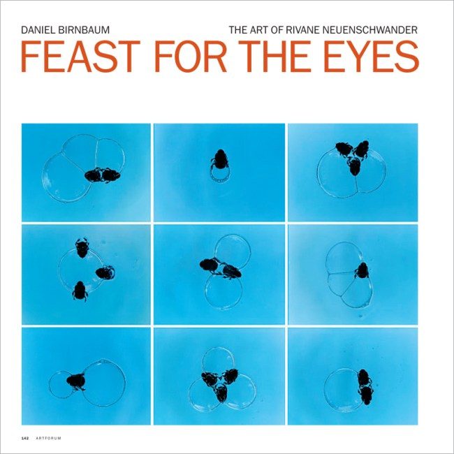 Rivane Neuenschwander. Eatable Alphabet.