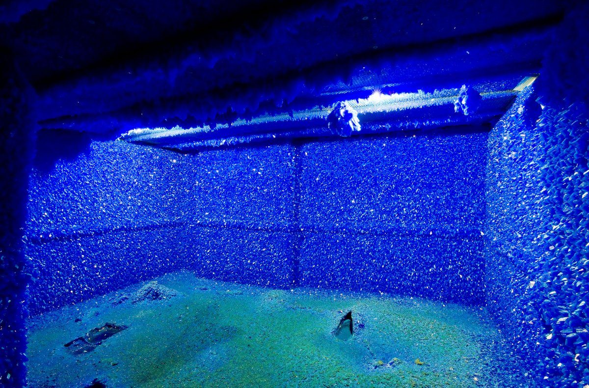 Roger Hiorns. Seizure.