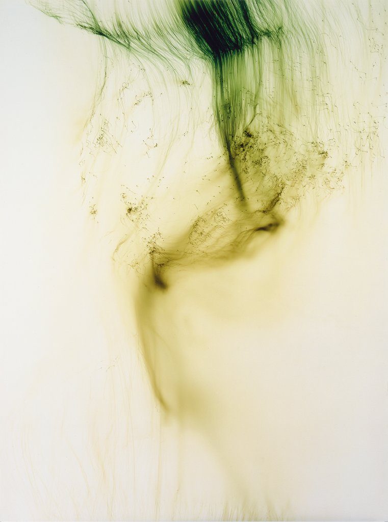 Wolfgang Tillmans. Freischwimmer 54.