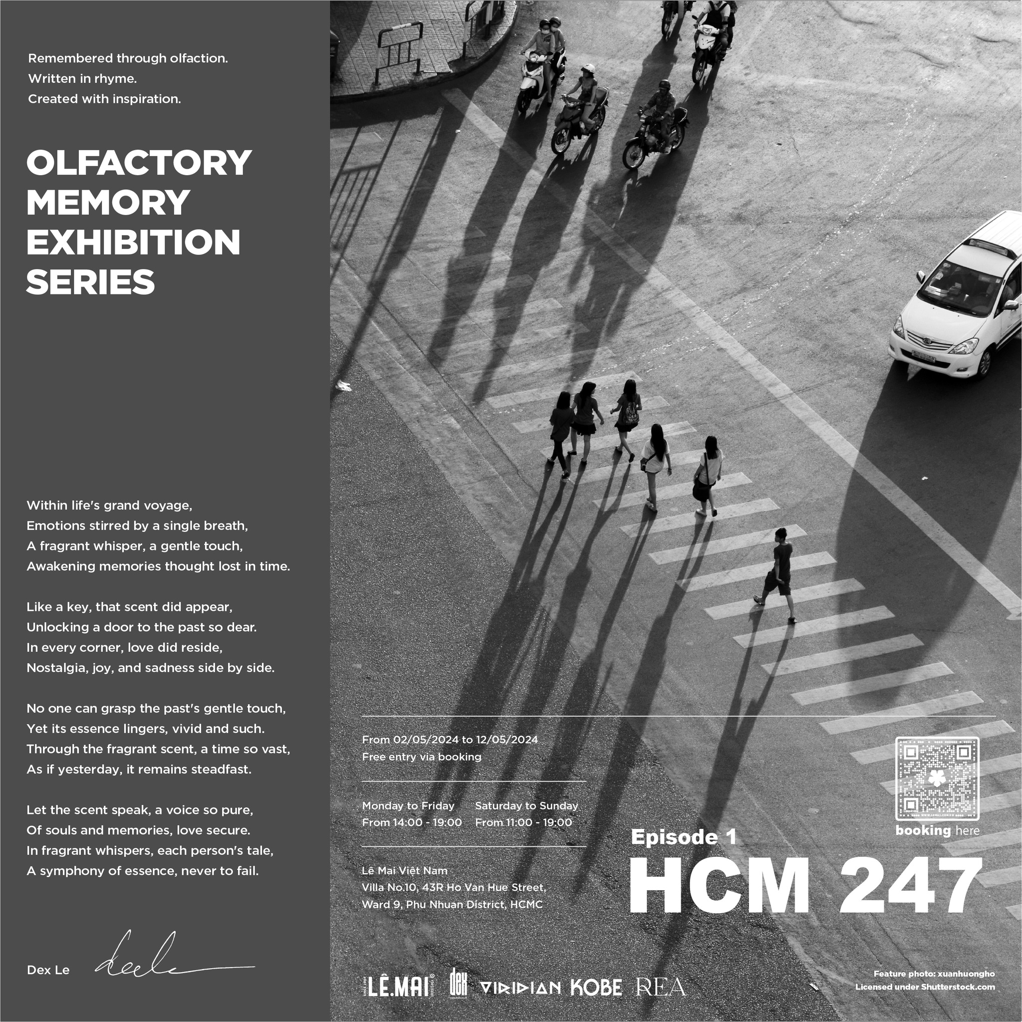 HCM 247 フレーム 07